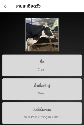 คนเลี้ยงวัว screenshot 3