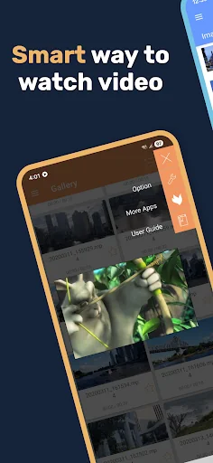 Lua Player: Float Video, Audio