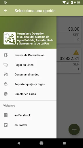 Sapa Movil