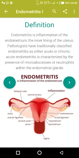AZ Gynecology Ultrasound Guide