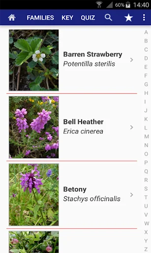 Flowers of Britain