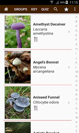 Fungi of Britain