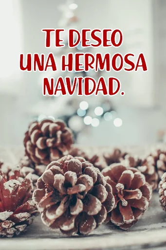 Feliz Navidad 2024 - Saludos