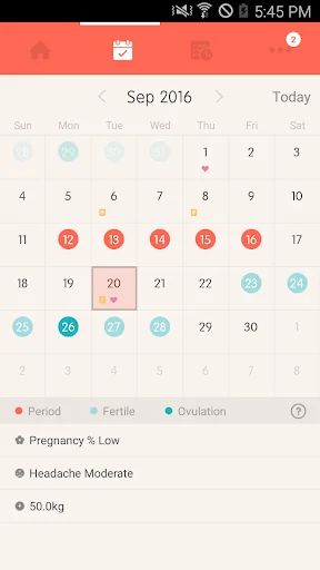 Once -A special period tracker