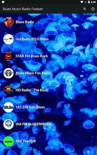 Blues Music Radio - US South