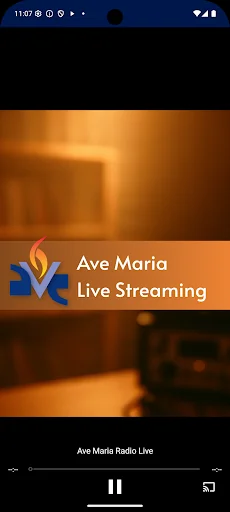Ave Maria Radio screenshot 4