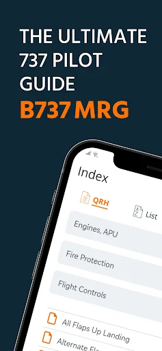 B737 MRG screenshot 1