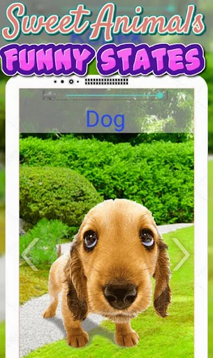 Animals Sounds For Kids screenshot 4