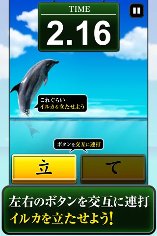 Can Dolphin Stand?