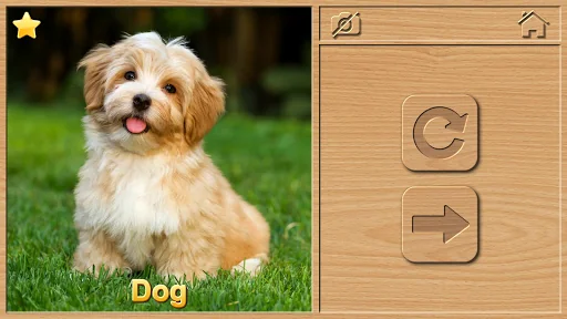 Animal Puzzles for Kids screenshot 2