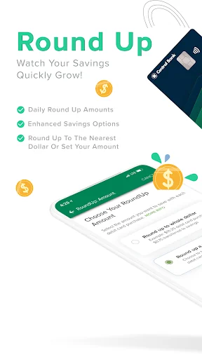 Central Bank screenshot 3