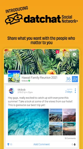 DatChat: Social Network Plus