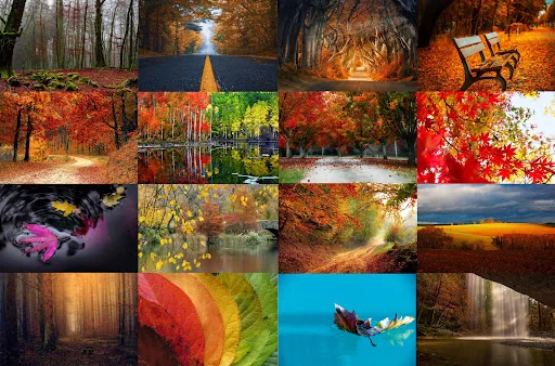 Autumn Timelapse Theme