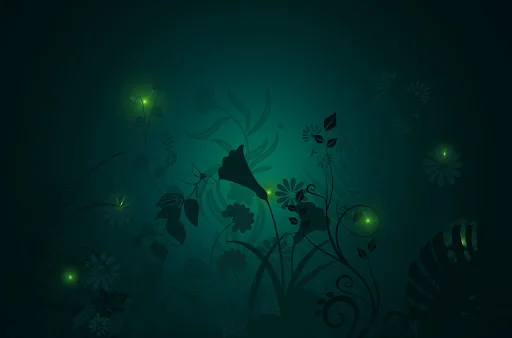Summer Night Theme