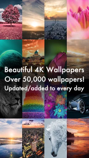 Beautiful 4K/HDR Wallpapers screenshot 1