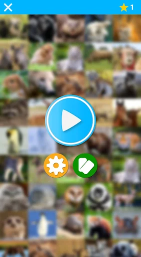 Pairs: Animals Pro
