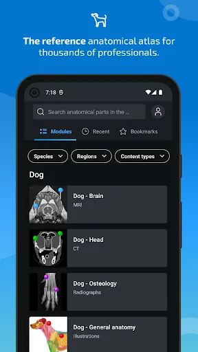 IMAIOS vet-Anatomy