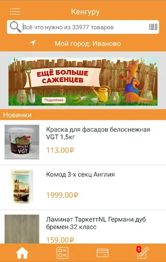 Кенгуру