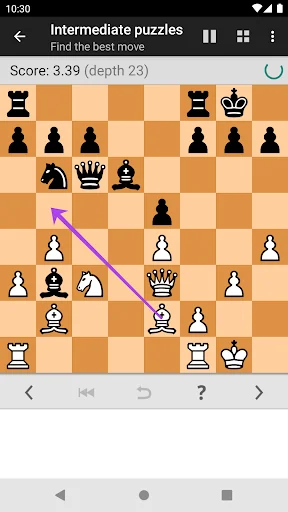 Chess Tactics Pro (Puzzles) screenshot 3