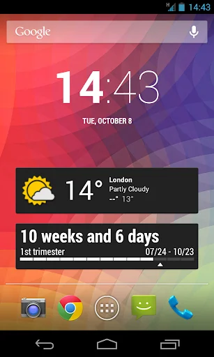 My Pregnancy Widget