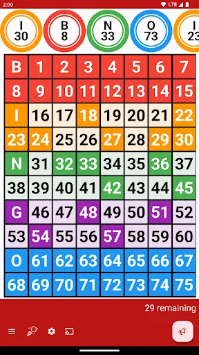 Bingo Caller