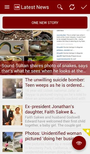 Linda Ikeji Blog