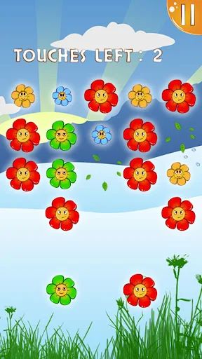 Flower Blast