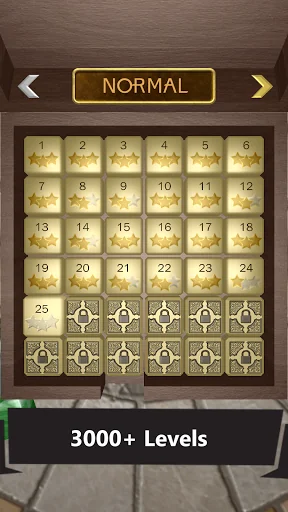 Unblock 3D Puzzle screenshot 3