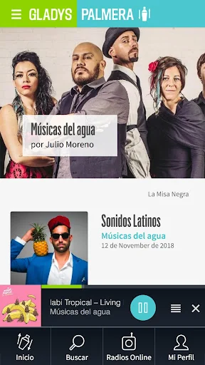 Radio Gladys Palmera