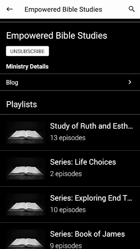 Empowered Bible Studies screenshot 2