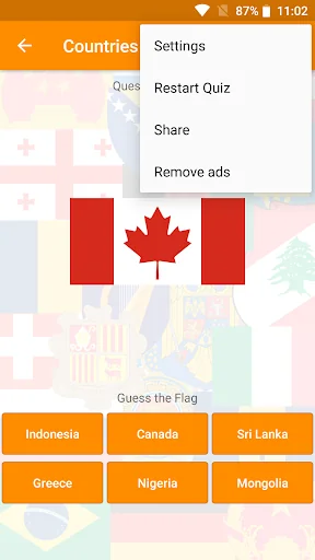 World Flags & Emblems: Quiz screenshot 3