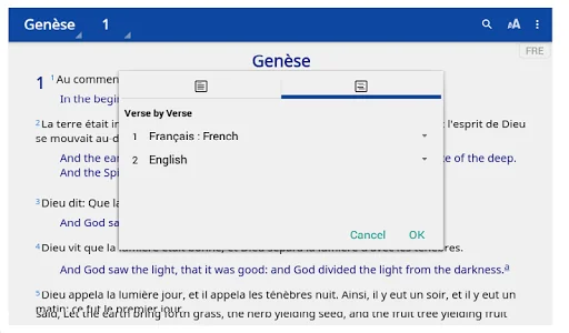 Saint-Martin : Bible App : Fre