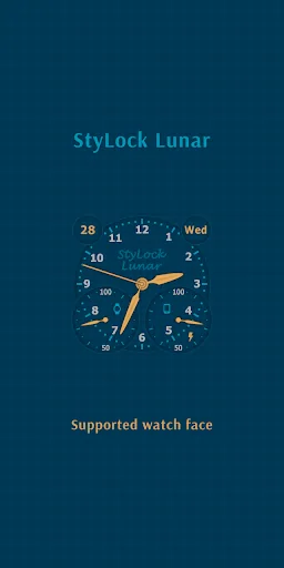 StyLock Provider screenshot 4