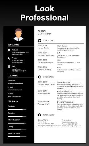 Professional CV Maker PDF