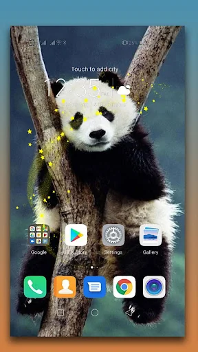 Panda Live Wallpaper