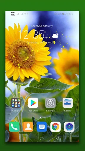 Sunflower Live Wallpaper