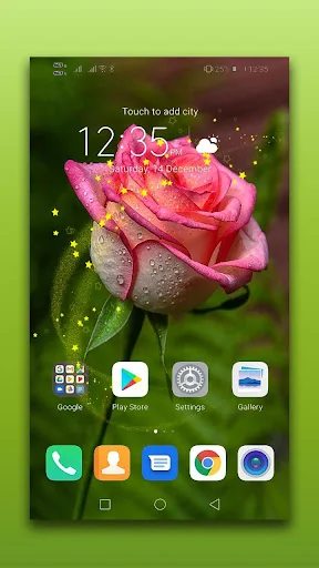 3D Rose Live Wallpaper