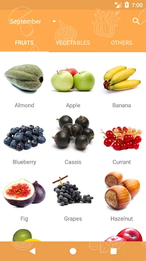 Seasonal fruits and vegetables screenshot 2