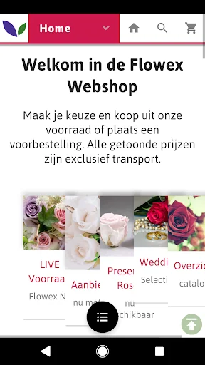 Flowex