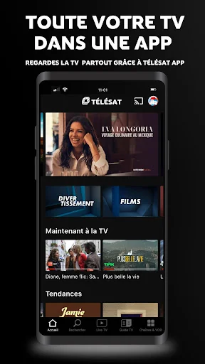 TÉLÉSAT