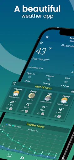 World Weather - Rain Radar