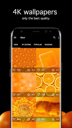 Orange Wallpapers 4K