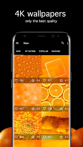 Orange Wallpapers PRO