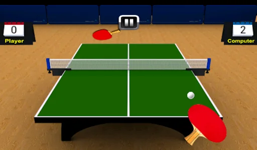 Table Tennis Mania