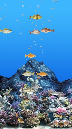 Abubu ocean live wallpaper key