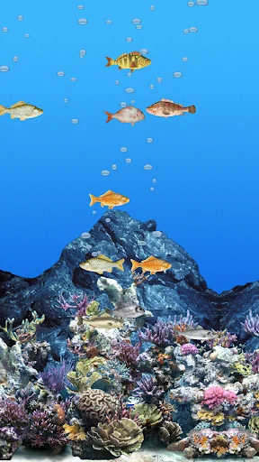 Abubu ocean live wallpaper screenshot 2
