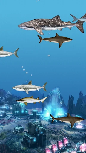 Abubu ocean live wallpaper screenshot 3