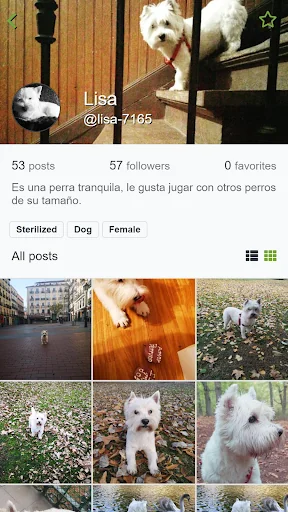 App4Pets - Pets social network