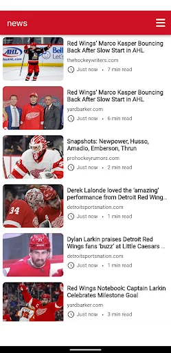 Detroit Hockey - Wings Edition