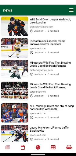 Minnesota Hockey - Wild Ed.